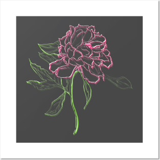 Peony Posters and Art